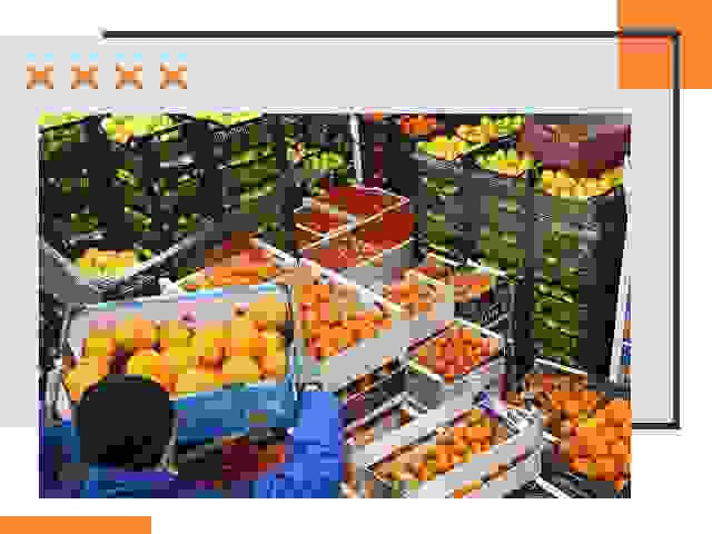 Перевозка скоропортящихся продуктов в Прокопьевске
